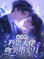 偏要哄,矜贵大佬吻哭指尖月 偏要哄,矜贵大佬吻哭指尖月