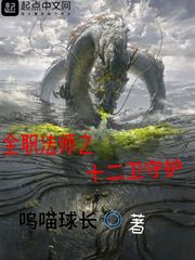 全职法师之十二卫守护 全职法师之十二卫守护