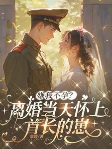 嫌我不孕?离婚当天怀上首长的崽 嫌我不孕?离婚当天怀上首长的崽