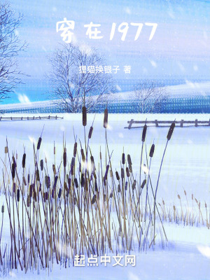 穿在1977 穿在1977