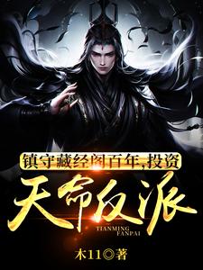 镇守藏经阁百年,投资天命反派 镇守藏经阁百年,投资天命反派