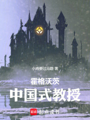 霍格沃茨:中国式教授 霍格沃茨:中国式教授