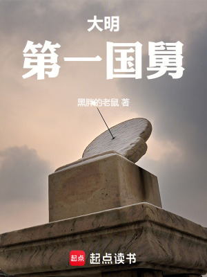 大明第一国舅 大明第一国舅
