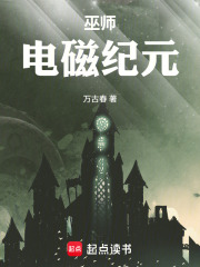 巫师:电磁纪元 巫师:电磁纪元