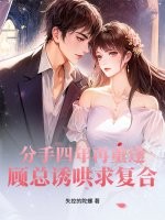 分手四年再重逢,顾总诱哄求复合 分手四年再重逢,顾总诱哄求复合
