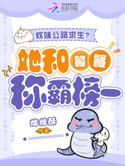 ���ù�·�������������ѳư԰�һ