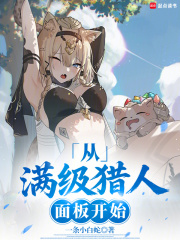 从满级猎人面板开始 从满级猎人面板开始