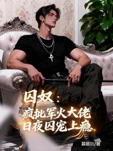 囚奴:疯批军火大佬日夜囚宠上瘾 囚奴:疯批军火大佬日夜囚宠上瘾