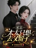 ���ܣ�ֻ̫̫��ȥ������