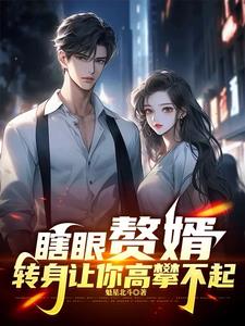 瞎眼赘婿,转身让你高攀不起! 瞎眼赘婿,转身让你高攀不起!