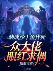 װ��ɳ�����������ڴ����ۺ���ż