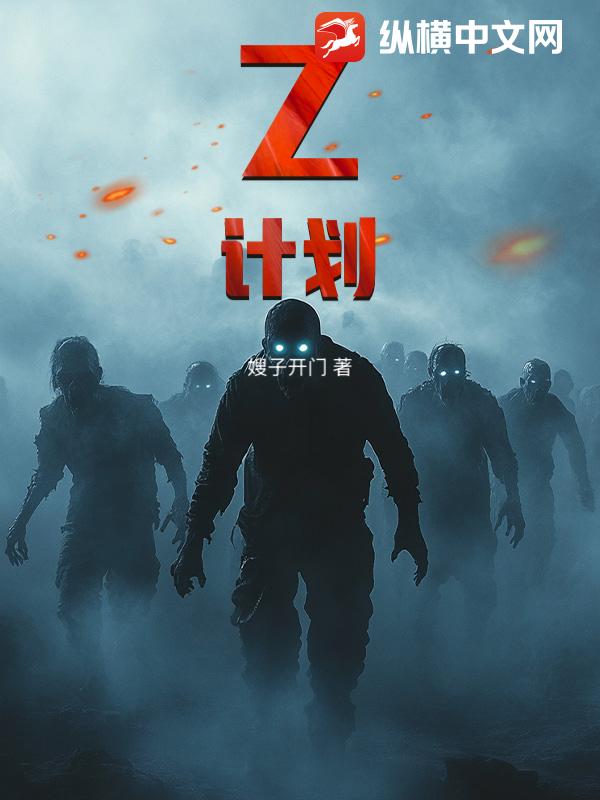 Z计划 Z计划