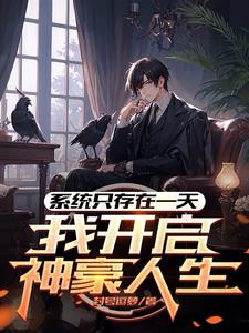 系统只存在一天,我开启神豪人生 系统只存在一天,我开启神豪人生