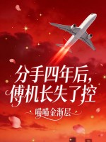 分手四年后,傅机长失了控 分手四年后,傅机长失了控