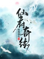 仙府奇缘 仙府奇缘
